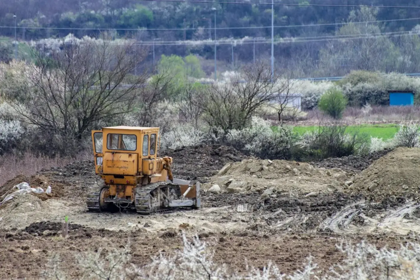 Land Clearing service image for Jacksonville